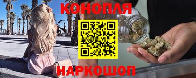 сатива Анапа