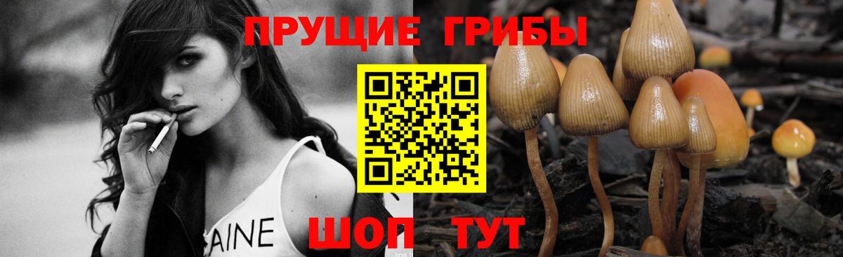 Псилоцибиновые грибы Psilocybine cubensis  где найти   Асино  Псилоцибиновые грибы мухоморы  Вход с VPN 